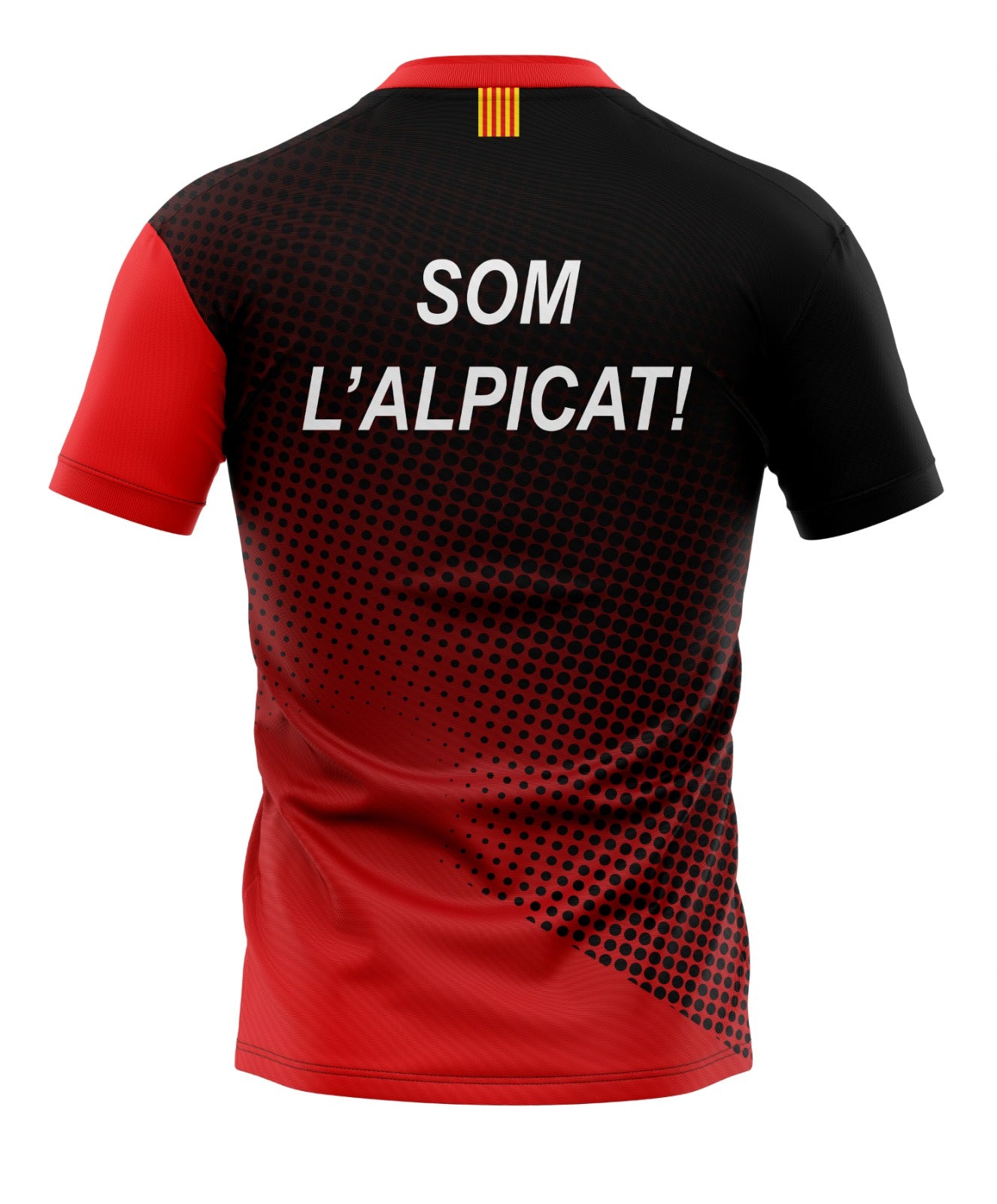 Samarreta Vòlei Alpicat Temporada 26-27